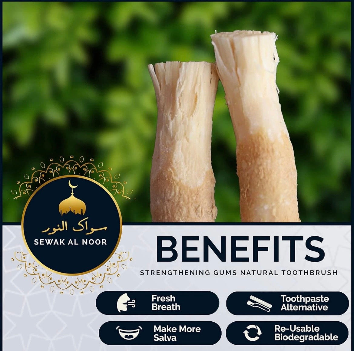 Pack of 5 Miswak Sticks for Teeth with 1 Holder - Vacuum Sealed Natural Flavored