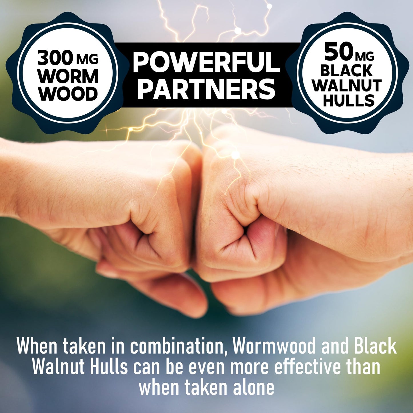 Parasite Cleanse Wormwood Extract - 90 Capsules - 12 Herbs Blended Black Walnut Hulls, Clove & More not Available in UK not available in the Netherlands.