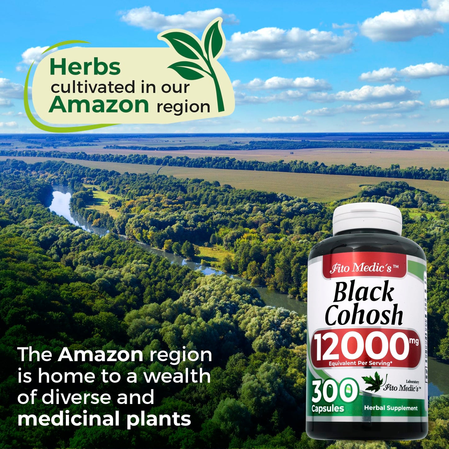 FITO MEDIC'S Black Cohosh Root Extract 12000 mg Equivalent, Herbal Supplement for Women, 300 Capsules