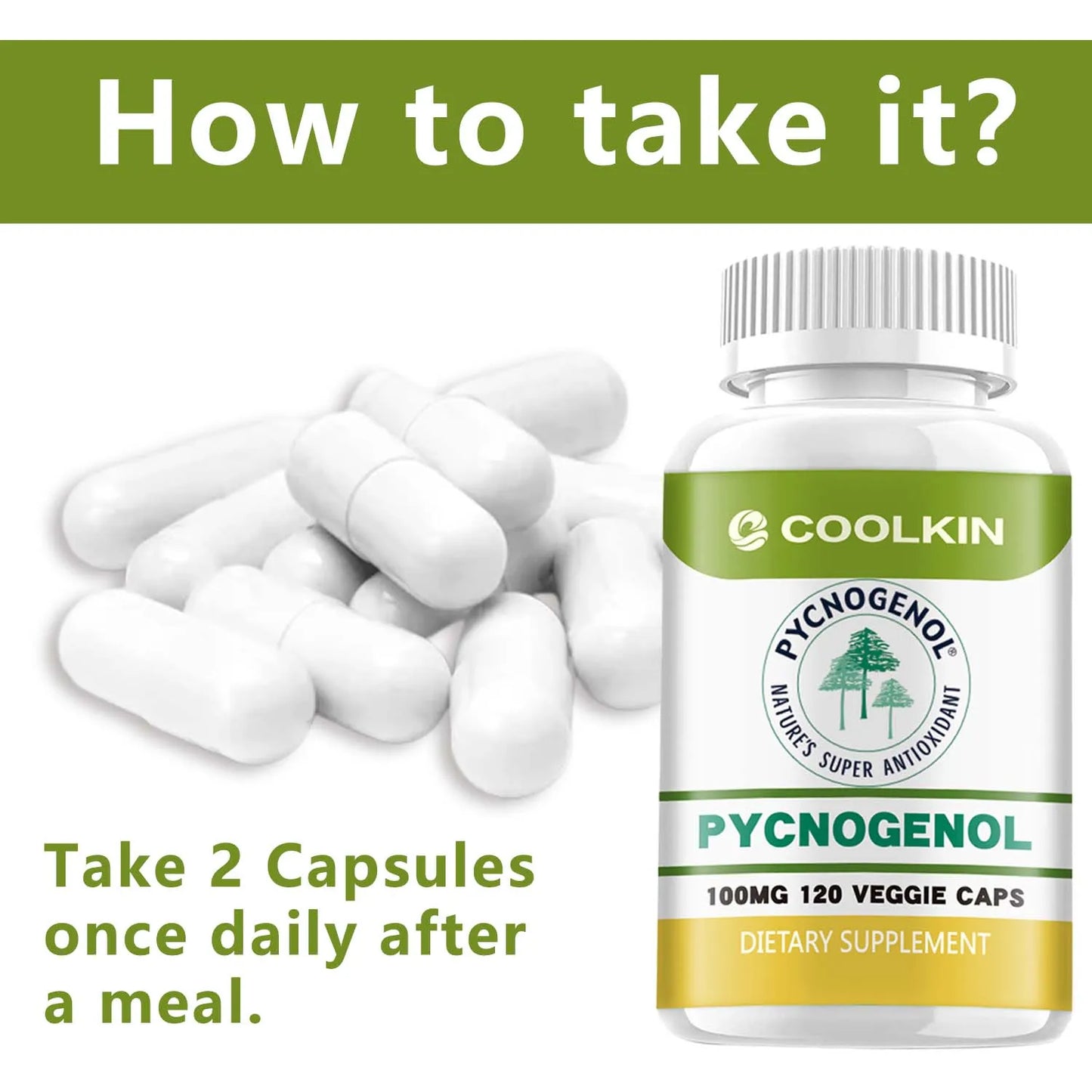 Pycnogenol - French Maritime Pine Bark Extract - Promotes Blood Flow, Joint and Immune Support, Antioxidant - 120 Capsules