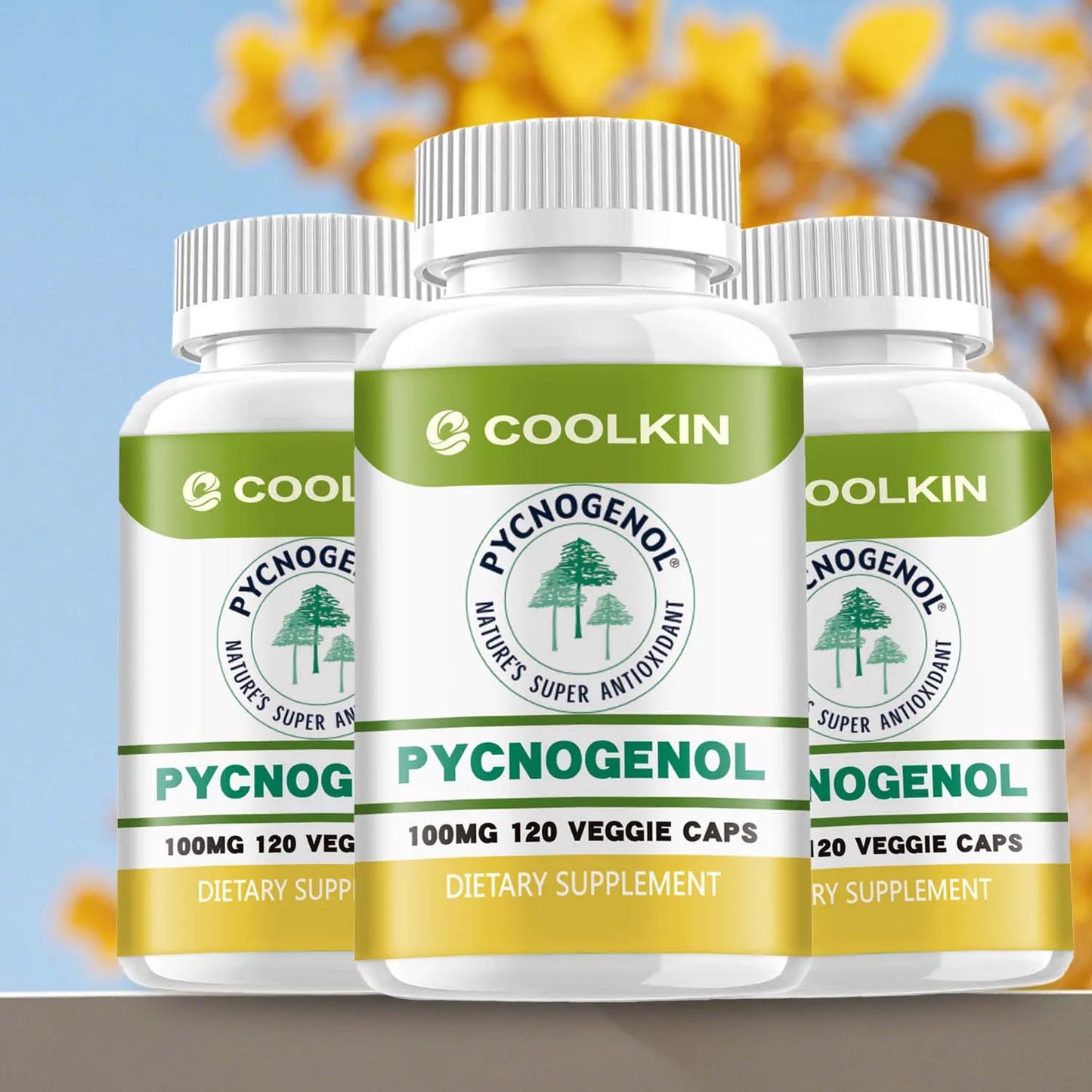 Pycnogenol - French Maritime Pine Bark Extract - Promotes Blood Flow, Joint and Immune Support, Antioxidant - 120 Capsules