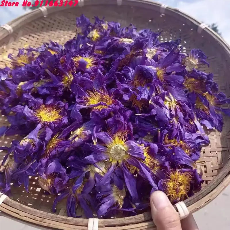 Egyptian Blue Lotus Dried Flowers For Astral Projection & Lucid Dreaming 🛌