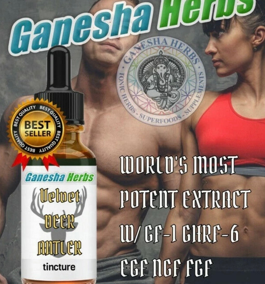 VELVET DEER ANTLER MAXIMUM STRENGTH INCREASES LEVELS OF SEXUAL HORMONES  LIBIDO, INCREASES ENERGY REDUCES BLOOD PRESSURE, MUSCULAR DEVELOPMENT INCREASES STAMINA & STRENGTH.