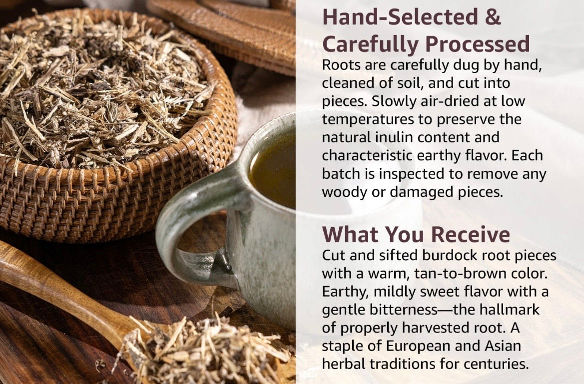 Burdock Root Loose Cut & Sifted 8oz great for digestion, rich in antioxidants contains quercetin, luteolin, and phenolic acids that protect cells from free radical damage.