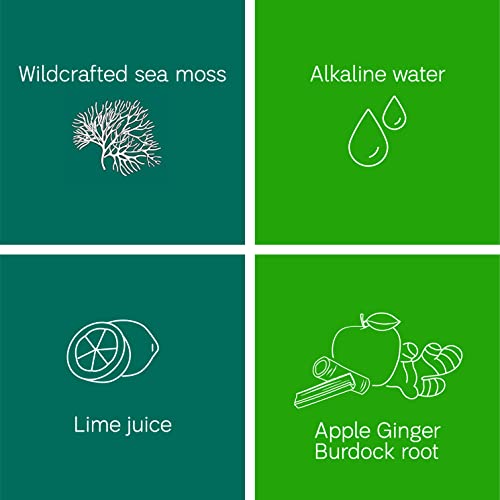 Sea Moss Gel Organic Raw (12 Flavors) 24oz Wildсrafted Gold Sea Moss Gel from Saint Lucia | 92 Vitamins and Minerals | Pure Raw+Non-GMO | Vegan Superfood
