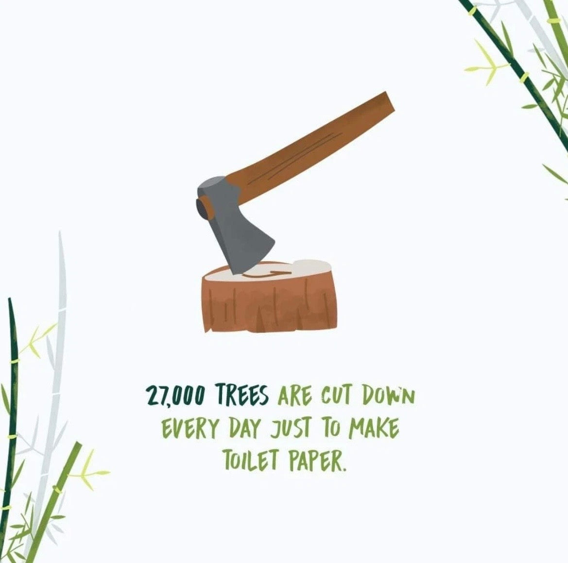 Bamboo Toilet Paper, Eco Friendly, Tree-Free, Biodegradable, Septic Safe, Chemical Free