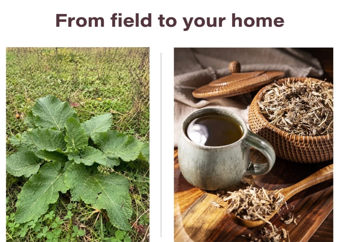 Burdock Root Loose Cut & Sifted 8oz great for digestion, rich in antioxidants contains quercetin, luteolin, and phenolic acids that protect cells from free radical damage.