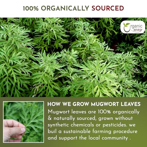 Mugwort Leaf Cut & Sifted (Artemisia Vulgaris) Great for Lucid Dreaming & Astral Projection 🛌