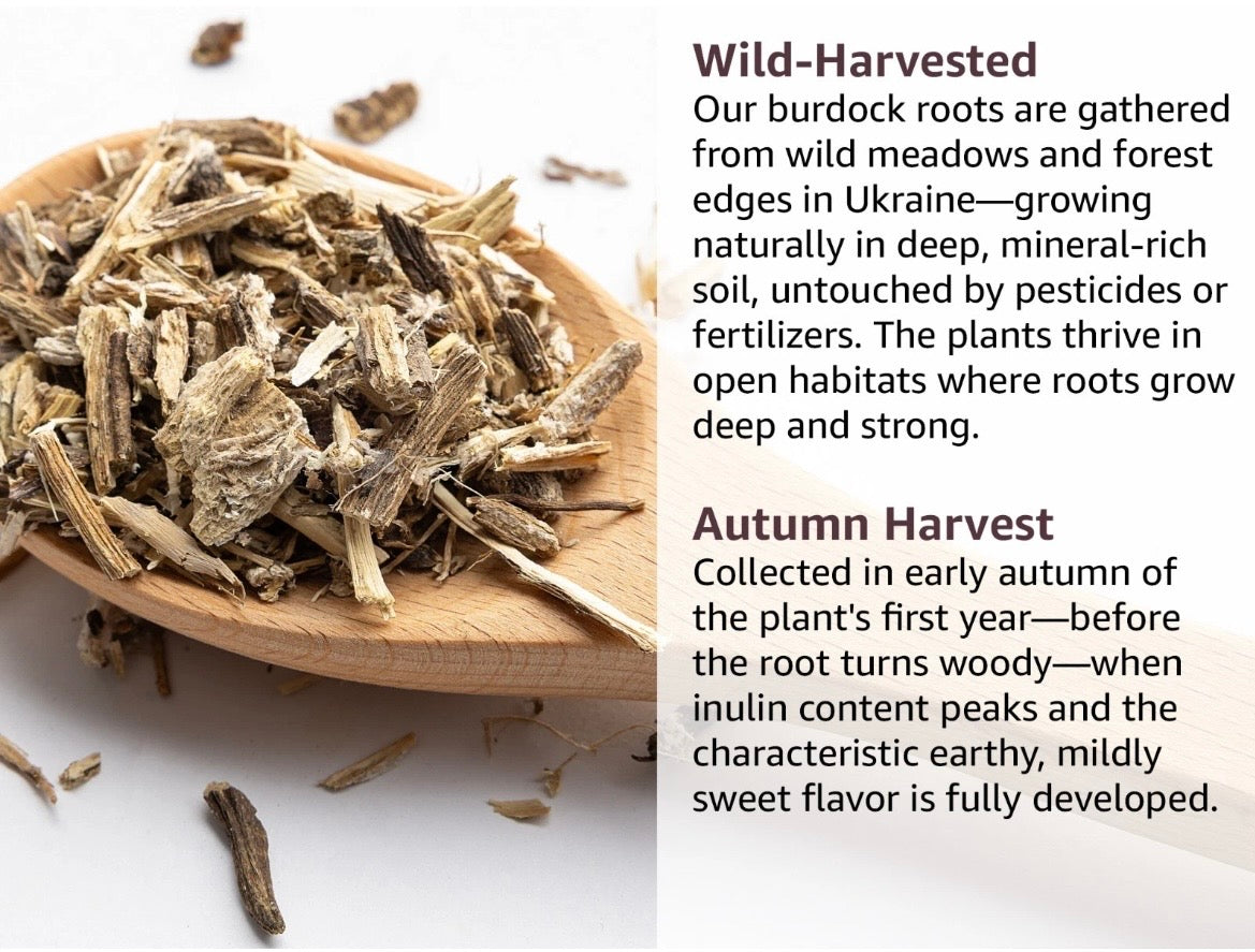 Burdock Root Loose Cut & Sifted 8oz great for digestion, rich in antioxidants contains quercetin, luteolin, and phenolic acids that protect cells from free radical damage.