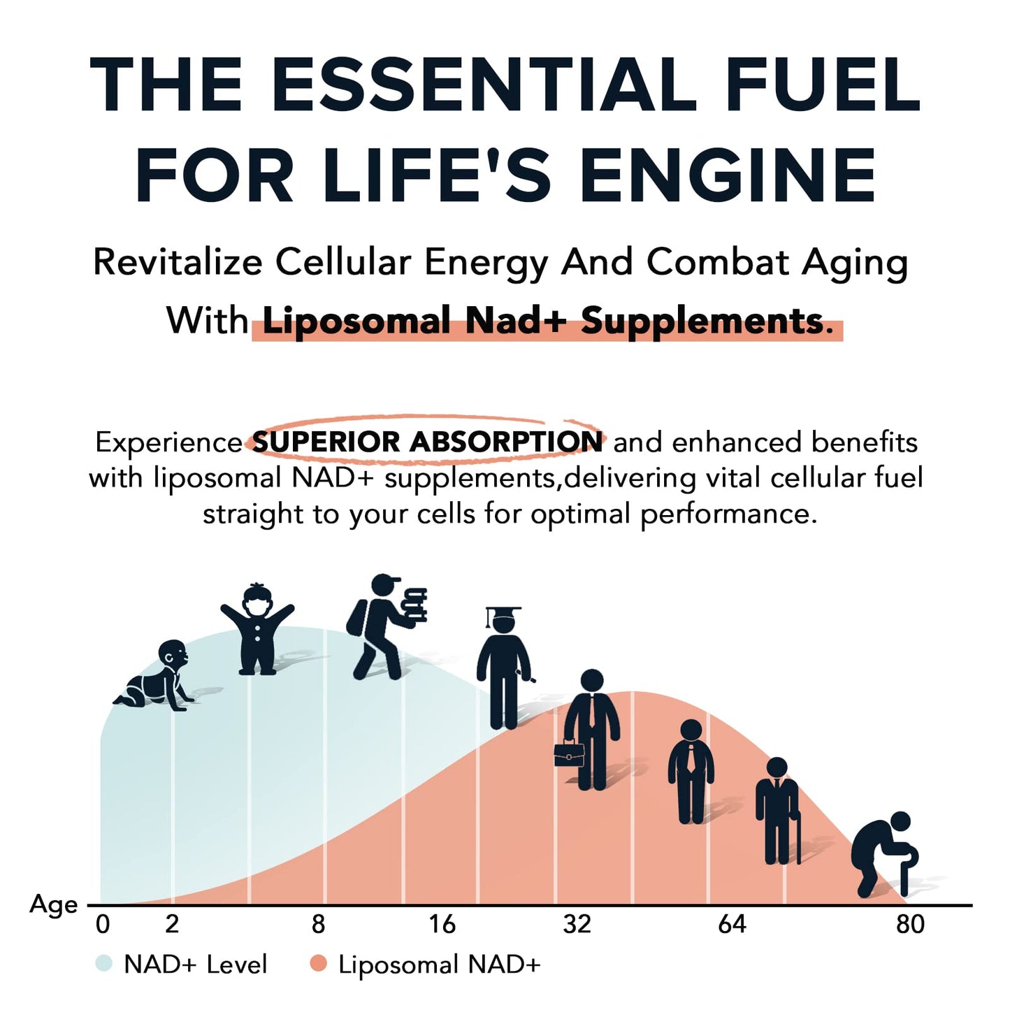 NAD Supplement, 98% Pure NAD+ Supplement, Superior Absorption, Alternative to Nicotinamide Riboside or NADH to Boost NAD+ for Aging Defense, Energy, Longevity, 120 Softgels