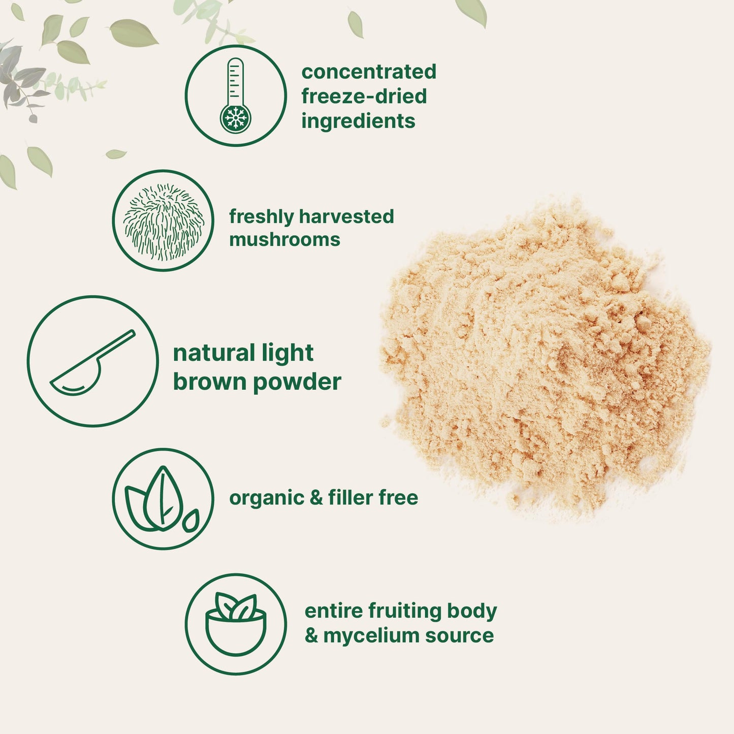 Organic Lion’s Mane Mushroom Powder, 16oz | Regenerates Damaged Neurons Brain 🧠 Power Opens 3rd Eye 👁️ Organic Superfood | Supports Brain, Focus, Energy & Immune Health | Great for Smoothies & Coffee | Filler Free, Vegan, Non-GMO