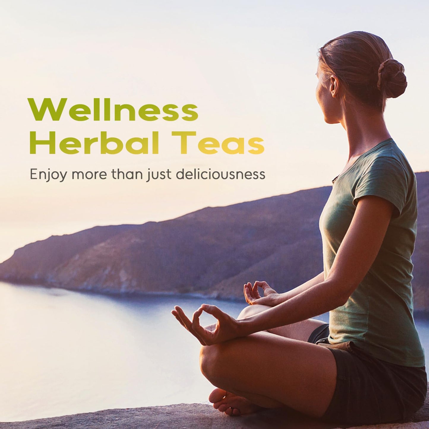 Chrysanthemum Herb - Premium Natural Dried Chrysanthemum Flower - Great For Pain ,Treats Headaches, Sleep Aid,Liver Health Great For Inflammation & Immune System Support Antioxidants Herbal Tea Loose Leaf - Non-GMO - Sweet & Fresh