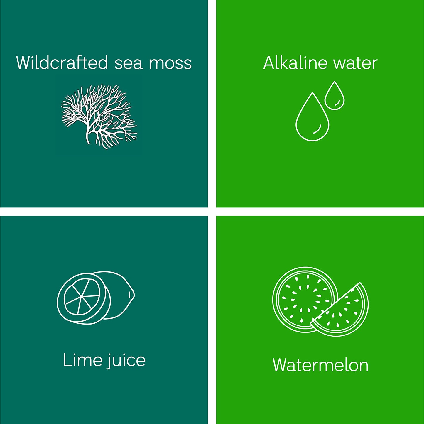 Sea Moss Gel Organic Raw (12 Flavors) 24oz Wildсrafted Gold Sea Moss Gel from Saint Lucia | 92 Vitamins and Minerals | Pure Raw+Non-GMO | Vegan Superfood