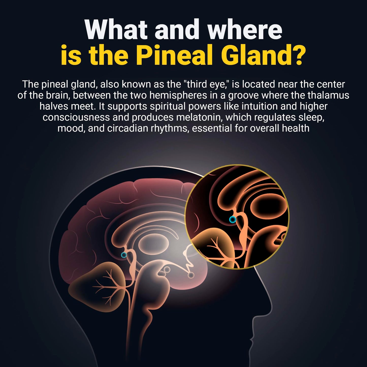 Pineal Gland Activation Supplement - Supports Decalcification, Third Eye Awakening, Intuition, and Mental Clarity - 100 Vegan Capsules