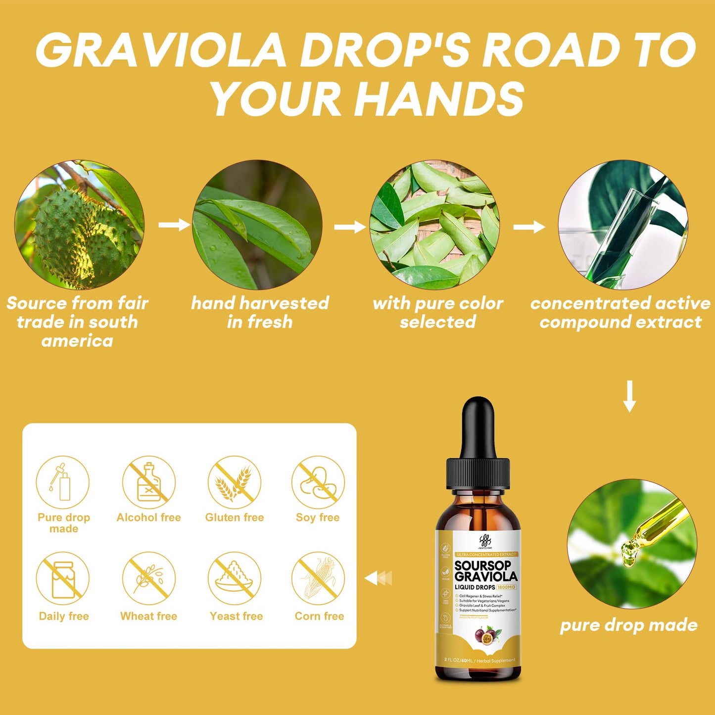 iMATCHME Soursop Graviola Liquid Drop for Cell Support & Regeneration, Immune Boost, Relax, Liver and Sleep, Soursop Bitters Liquid, Herbal Goodness, Sugar/Gluten Free, Natural Flavor, 2 Fl Oz