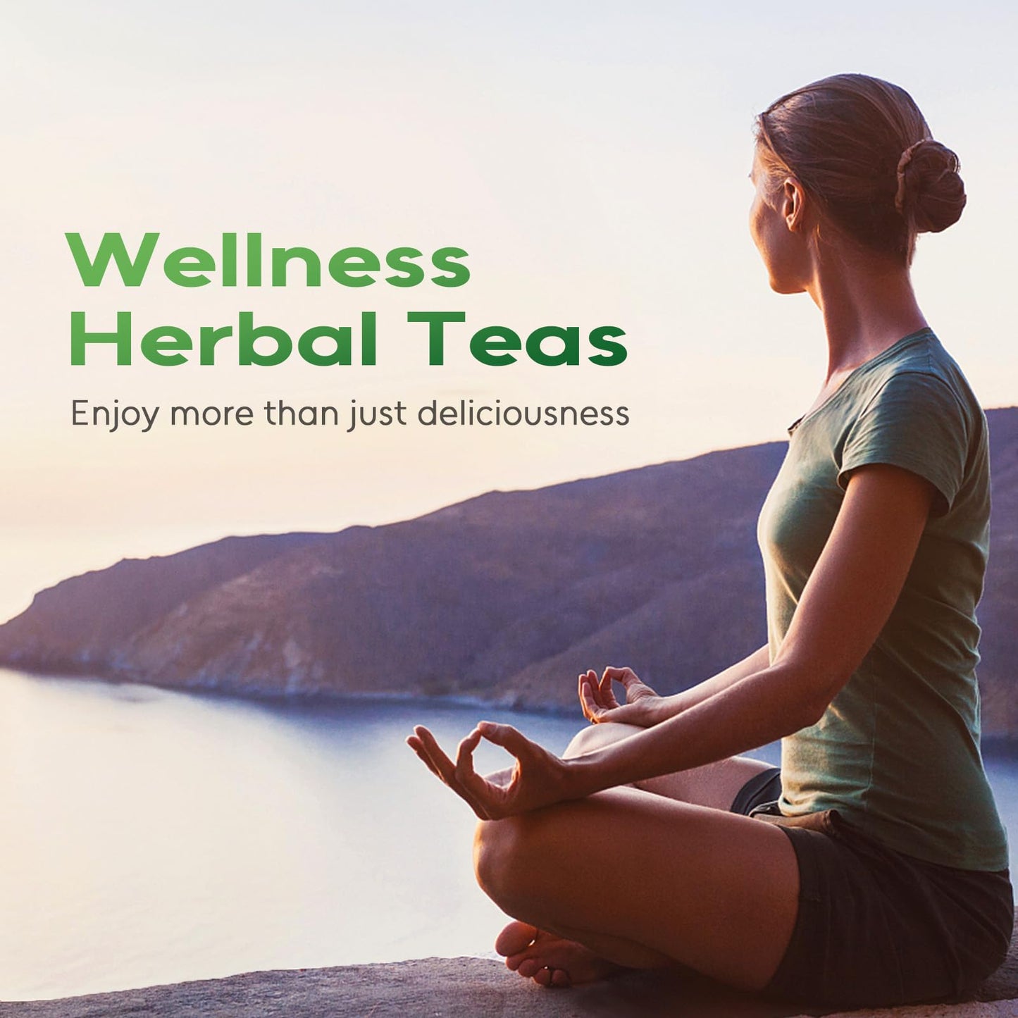 Chrysanthemum Herb - Premium Natural Dried Chrysanthemum Flower - Great For Pain ,Treats Headaches, Sleep Aid,Liver Health Great For Inflammation & Immune System Support Antioxidants Herbal Tea Loose Leaf - Non-GMO - Sweet & Fresh