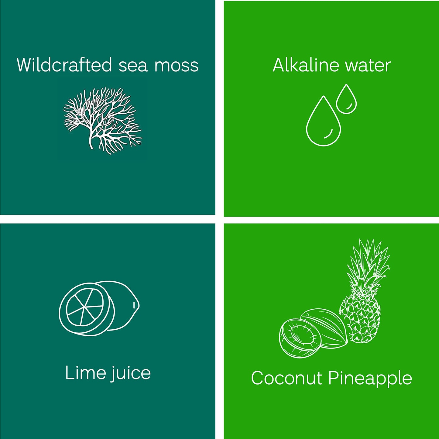 Sea Moss Gel Organic Raw (12 Flavors) 24oz Wildсrafted Gold Sea Moss Gel from Saint Lucia | 92 Vitamins and Minerals | Pure Raw+Non-GMO | Vegan Superfood