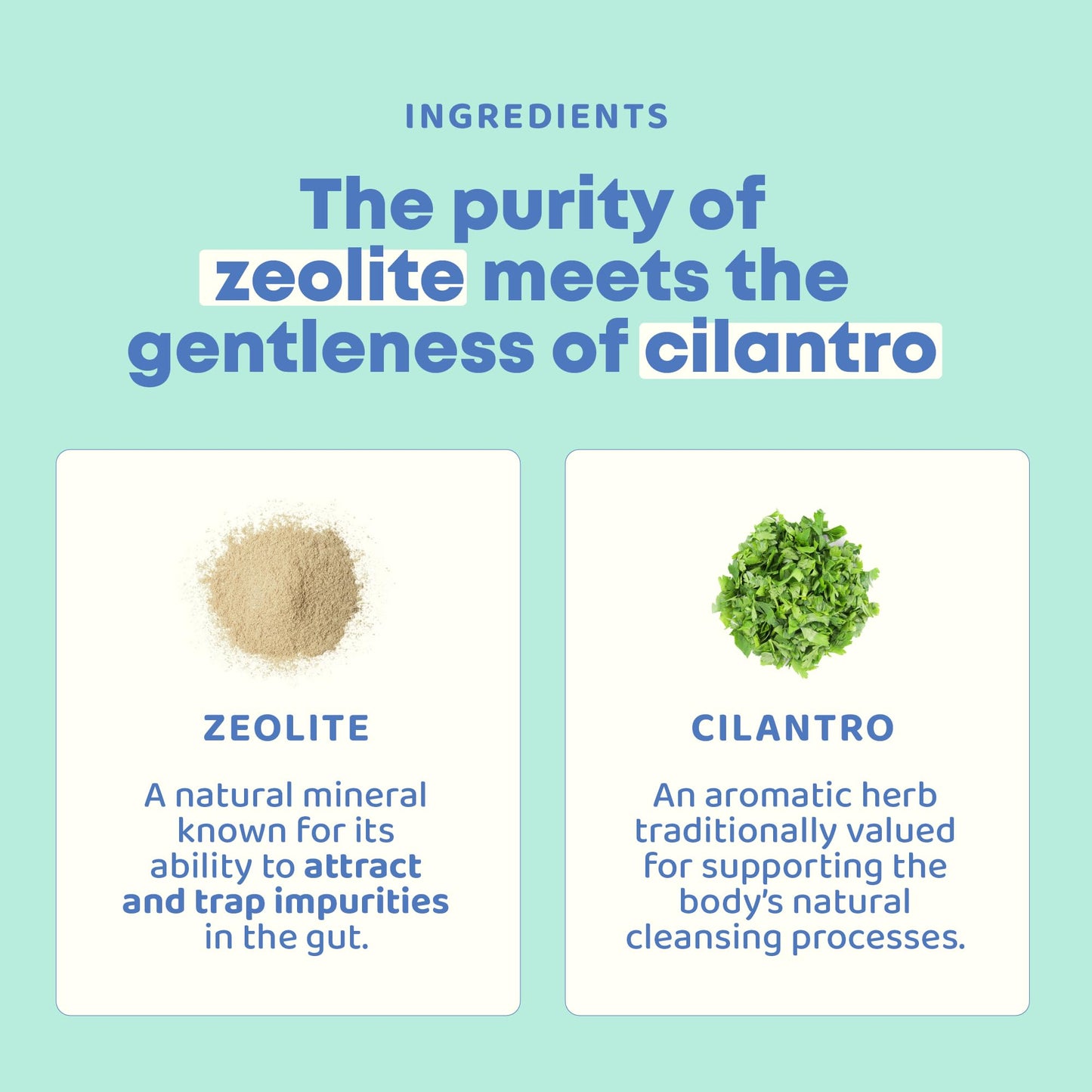 JoySpring DetoxZee Cilantro Drops for Kids - Natural Detox Support with Zeolite & Cilantro Extract - Gentle Whole-Body Cleanse for Children & Toddlers - Kid-Friendly Liquid Detox, 30 Servings