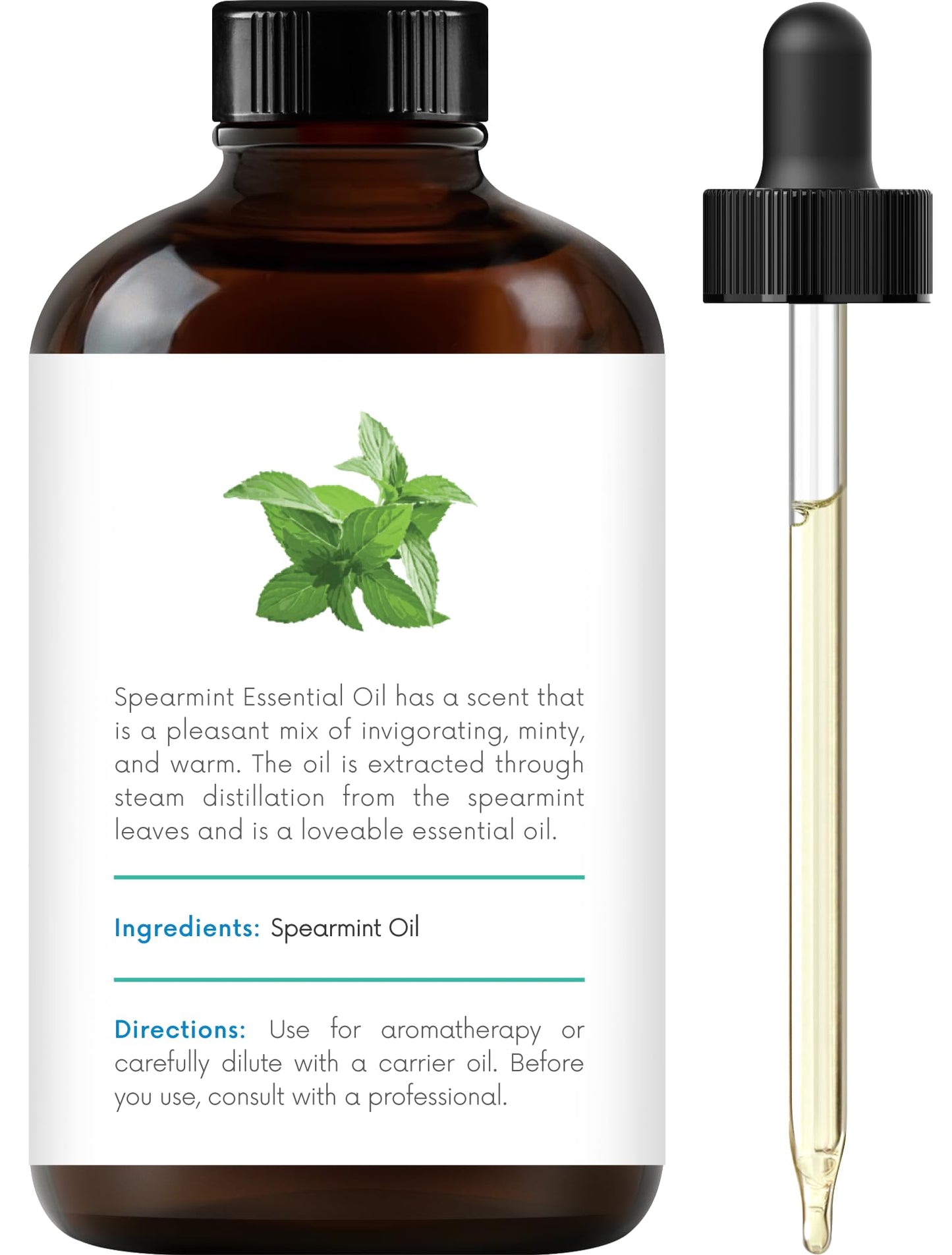 Handcraft Blends Citronella Essential Oil – Huge 4 Fl Oz – 100% Pure and Natural – Premium Grade Essential Oil for Diffuser and Aromatherapy, Skin, Massage, Candle and Soap Making Fragrance