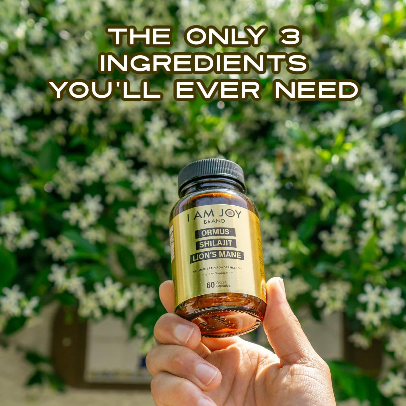I Am Joy co. Ormus Shilajit Lion's Mane - Ultimate Brain Power! Monoatomic 24k Gold - The Only Blend of Its Kind for Energy, Memory, & Focus - 60 Vegan Capsules in Eco Friendly Glass