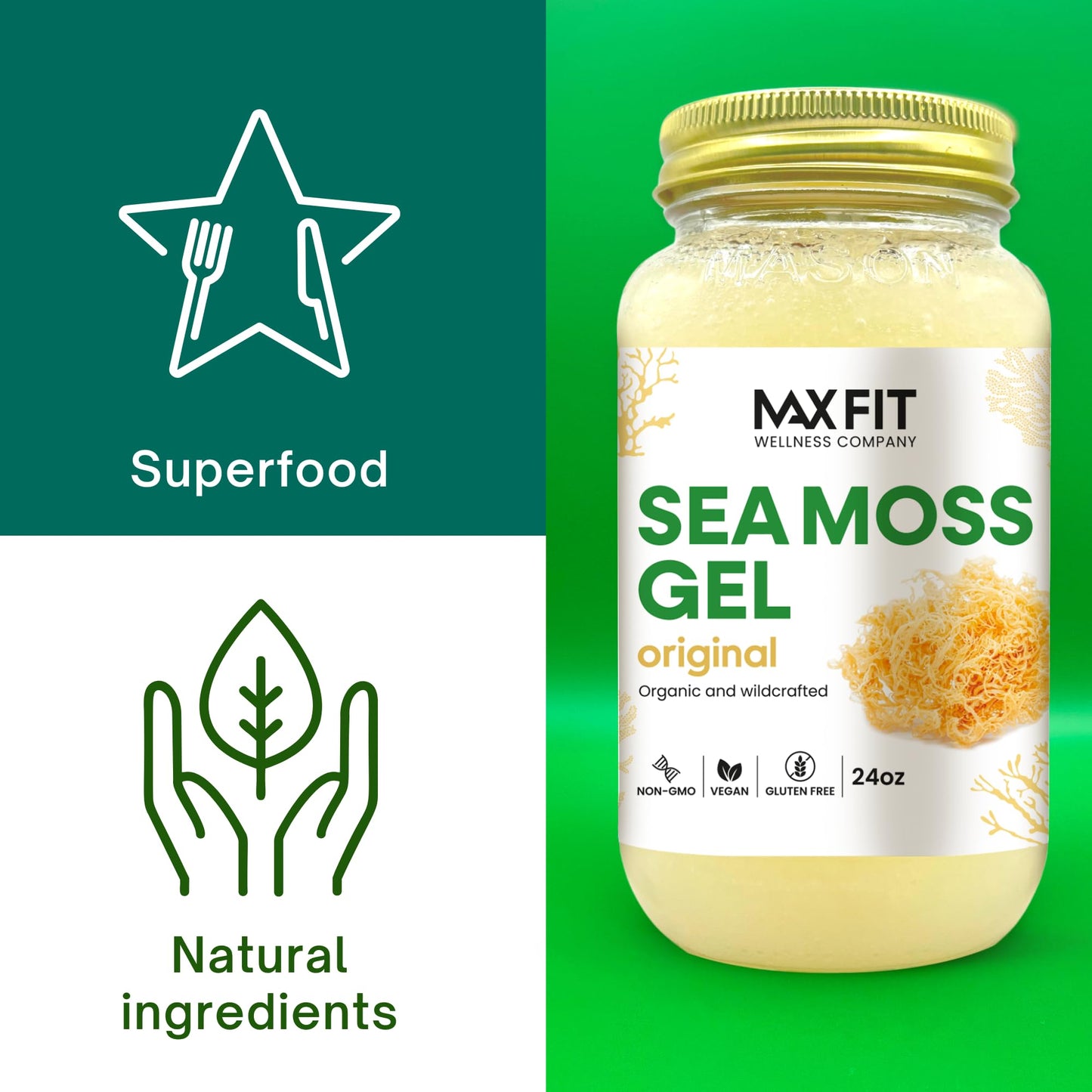 Sea Moss Gel Organic Raw (12 Flavors) 24oz Wildсrafted Gold Sea Moss Gel from Saint Lucia | 92 Vitamins and Minerals | Pure Raw+Non-GMO | Vegan Superfood