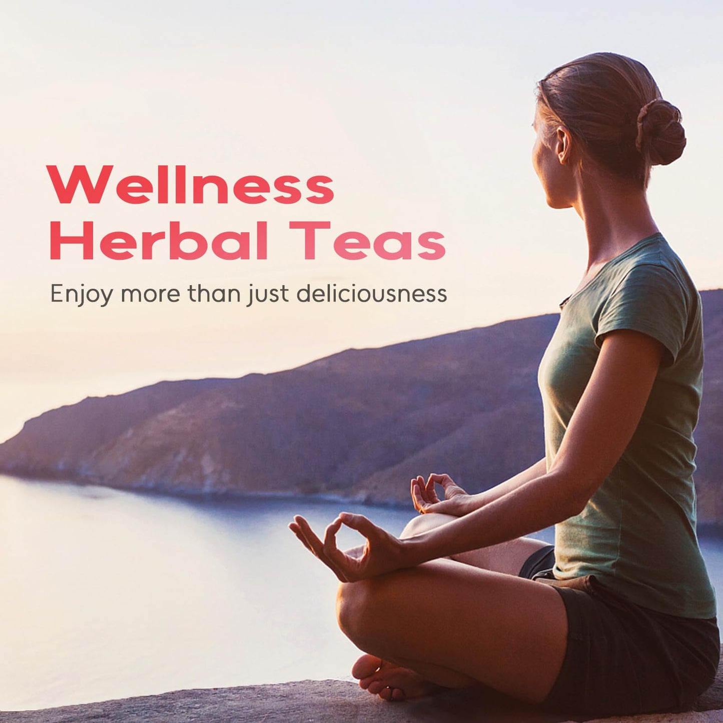 Chrysanthemum Herb - Premium Natural Dried Chrysanthemum Flower - Great For Pain ,Treats Headaches, Sleep Aid,Liver Health Great For Inflammation & Immune System Support Antioxidants Herbal Tea Loose Leaf - Non-GMO - Sweet & Fresh