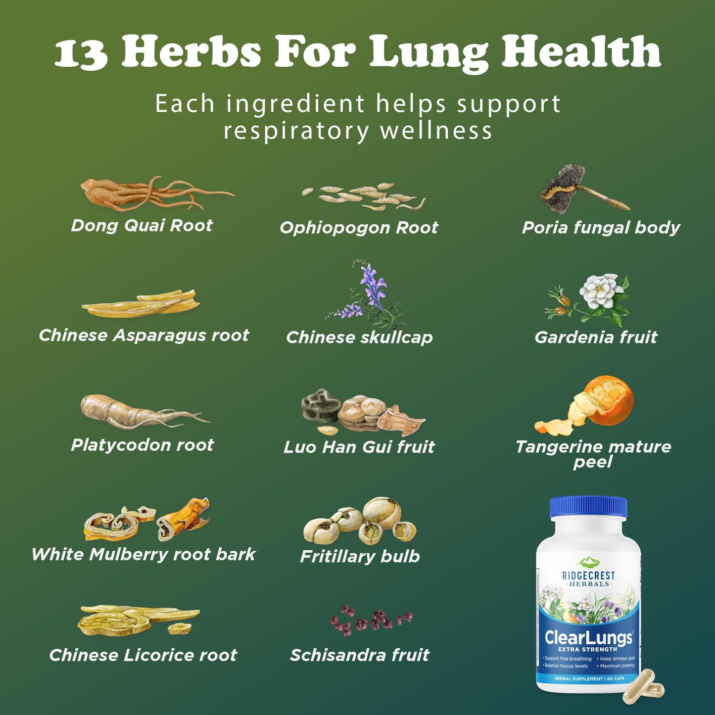 RidgeCrest Herbals ClearLungs Extra Strength, Natural Lung, Nasal Health Formula, Bronchial, Respiratory, Sinus, Mucus Support (60 Caps, 30 Serv)