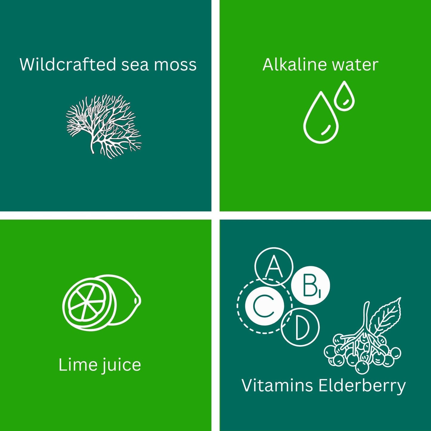Sea Moss Gel Organic Raw (12 Flavors) 24oz Wildсrafted Gold Sea Moss Gel from Saint Lucia | 92 Vitamins and Minerals | Pure Raw+Non-GMO | Vegan Superfood