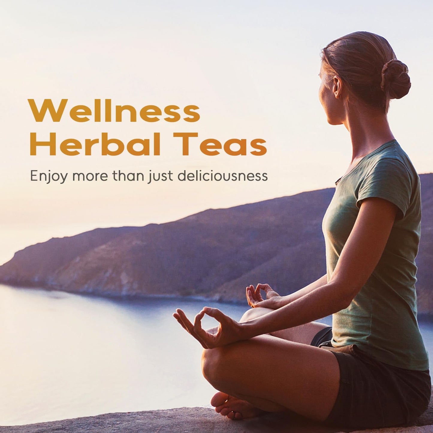 Chrysanthemum Herb - Premium Natural Dried Chrysanthemum Flower - Great For Pain ,Treats Headaches, Sleep Aid,Liver Health Great For Inflammation & Immune System Support Antioxidants Herbal Tea Loose Leaf - Non-GMO - Sweet & Fresh