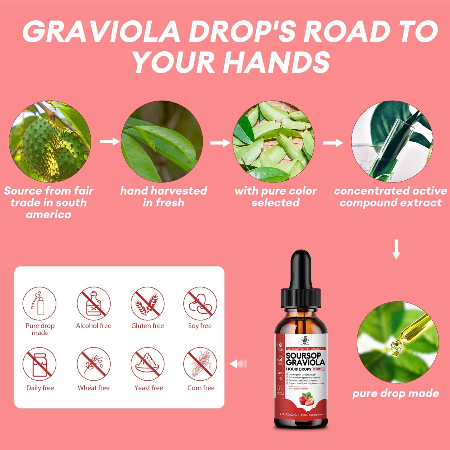 iMATCHME Soursop Graviola Liquid Drop for Cell Support & Regeneration, Immune Boost, Relax, Liver and Sleep, Soursop Bitters Liquid, Herbal Goodness, Sugar/Gluten Free, Natural Flavor, 2 Fl Oz