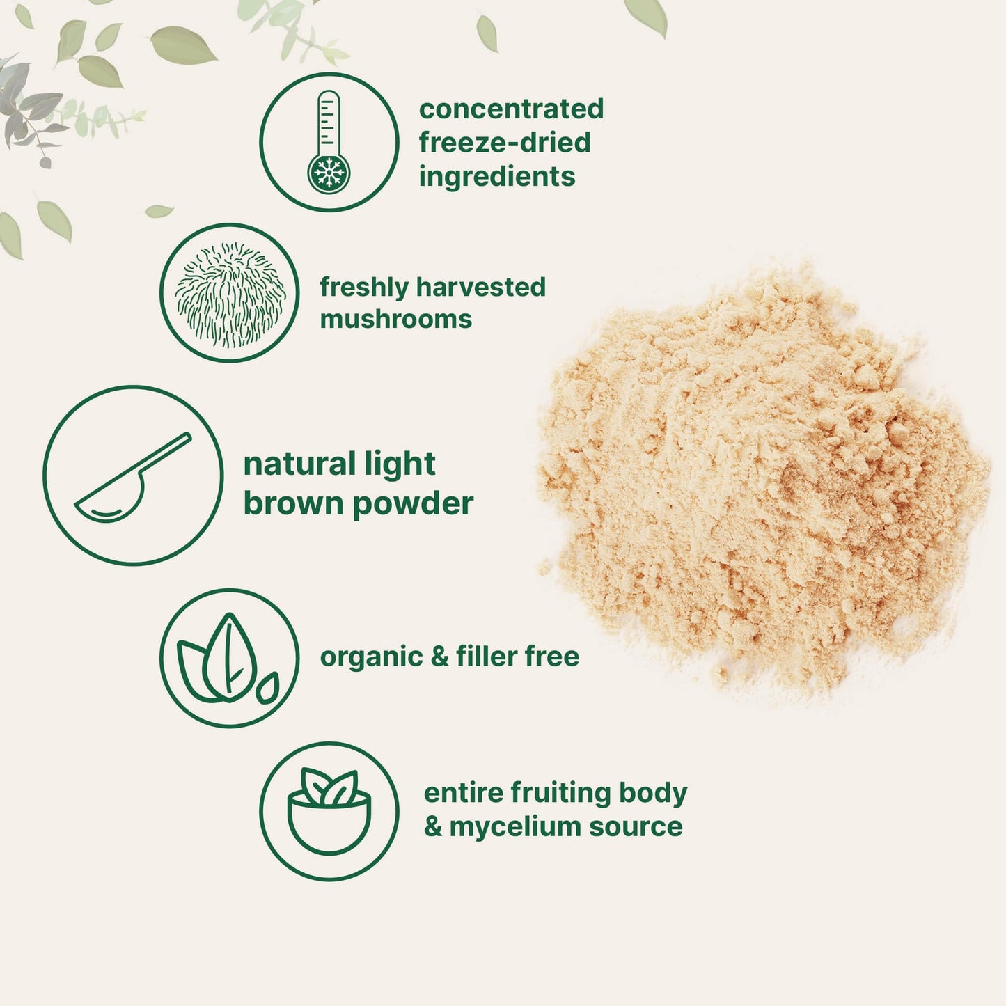 Organic Lion’s Mane Mushroom Powder, 16oz | Regenerates Damaged Neurons Brain 🧠 Power Opens 3rd Eye 👁️ Organic Superfood | Supports Brain, Focus, Energy & Immune Health | Great for Smoothies & Coffee | Filler Free, Vegan, Non-GMO