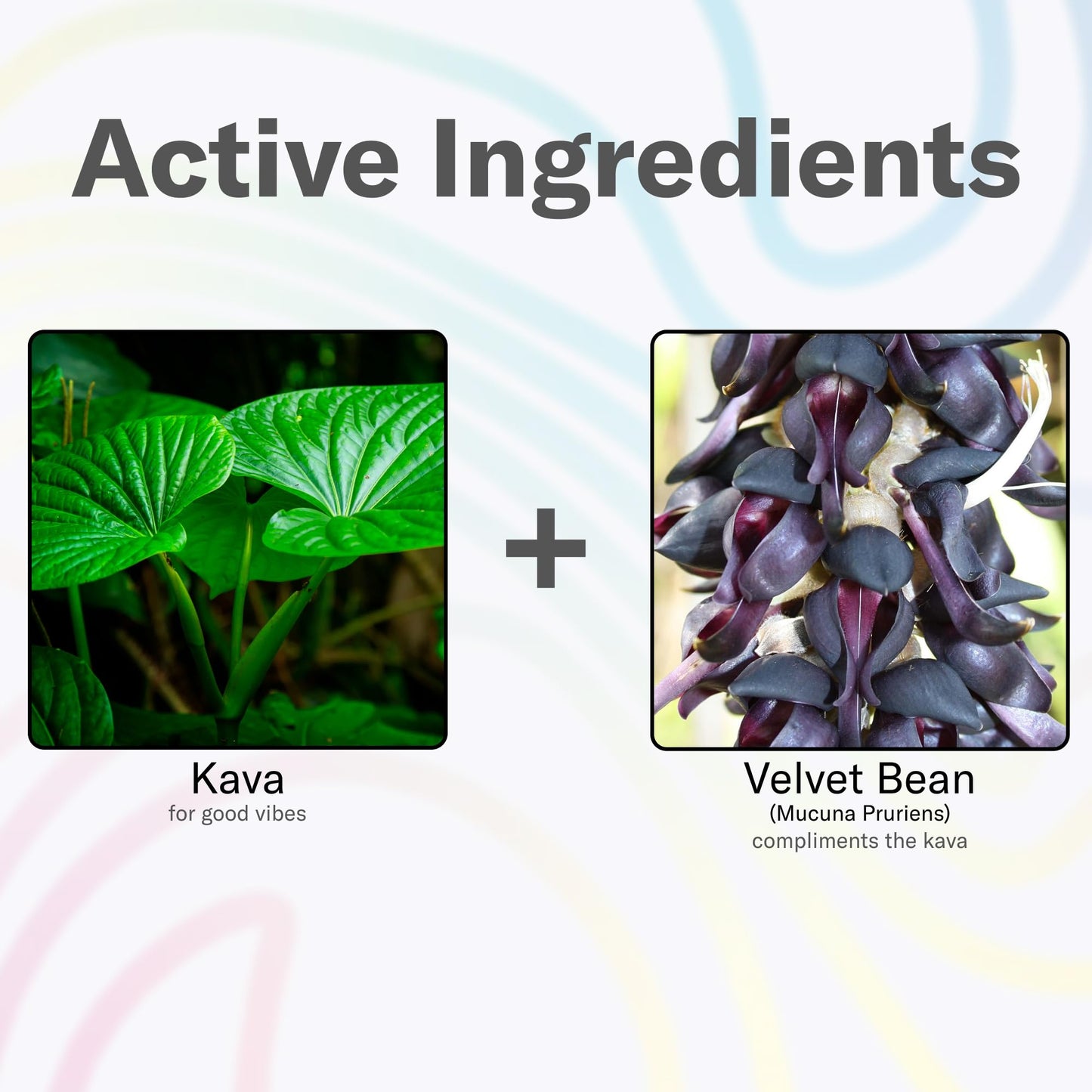 Easy Alcohol Alternative with Buzz - Calming Kava Drink Mix (14x5.5g) Flavored Kava Powder - Calming Drink Powder Packets - Easy Open Single Serving Drinks - 14 Calm Packets - Grape