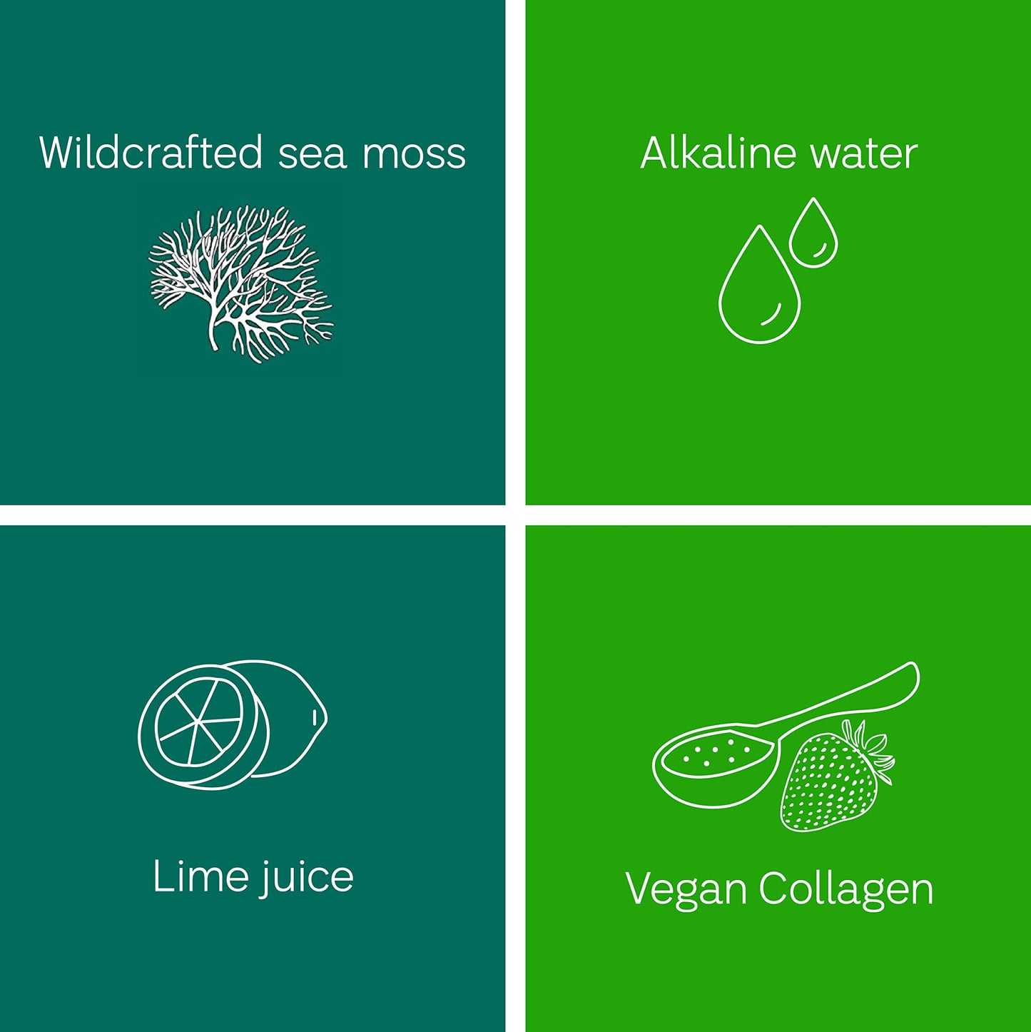 Sea Moss Gel Organic Raw (12 Flavors) 24oz Wildсrafted Gold Sea Moss Gel from Saint Lucia | 92 Vitamins and Minerals | Pure Raw+Non-GMO | Vegan Superfood