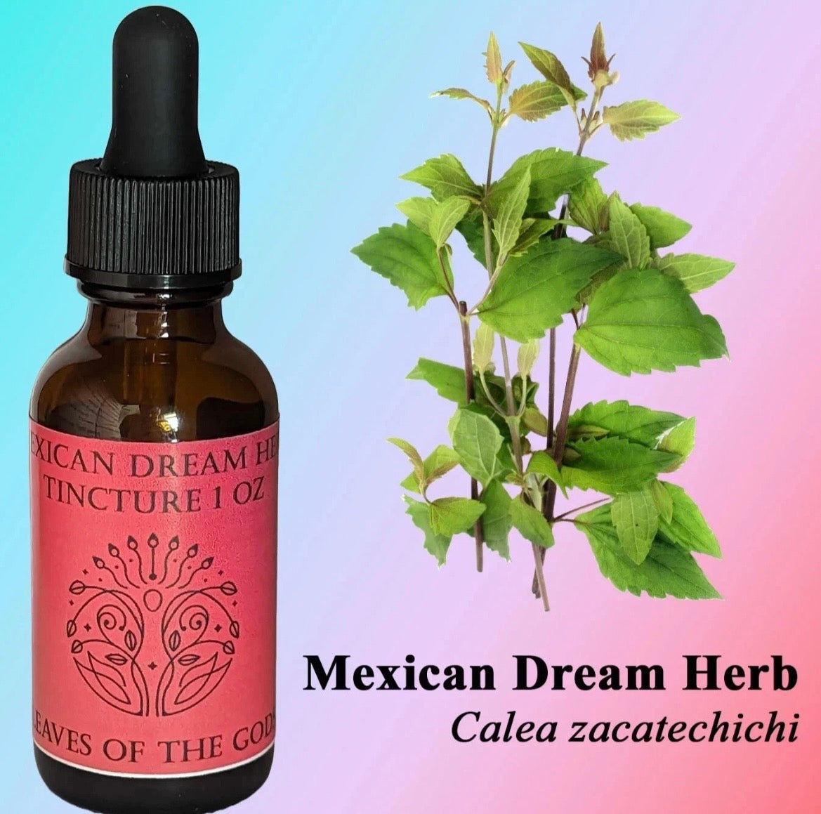 Mexican Dream Herb Tincture (Calea Zacatechichi) For Lucid Dreaming 🛌 & Astral Travel Very High Quality. Only ships to U.S Doesn’t ship to NY or Louisiana