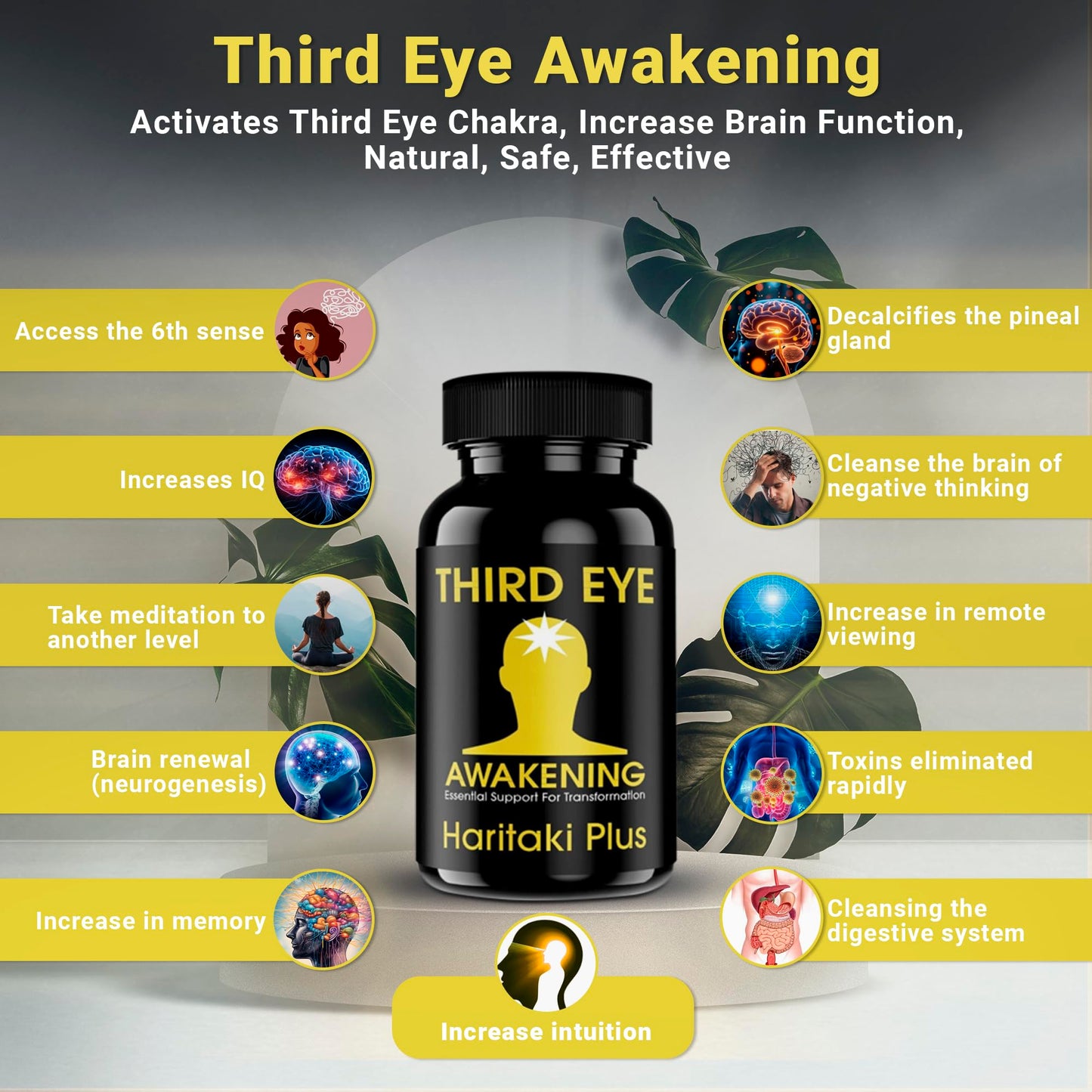 Third Eye Awakening - Organic Haritaki Capsules- Kailash Herbals-100 Capsules- 650 mg Each-Terminalia chebula- Vegan not sold in UK