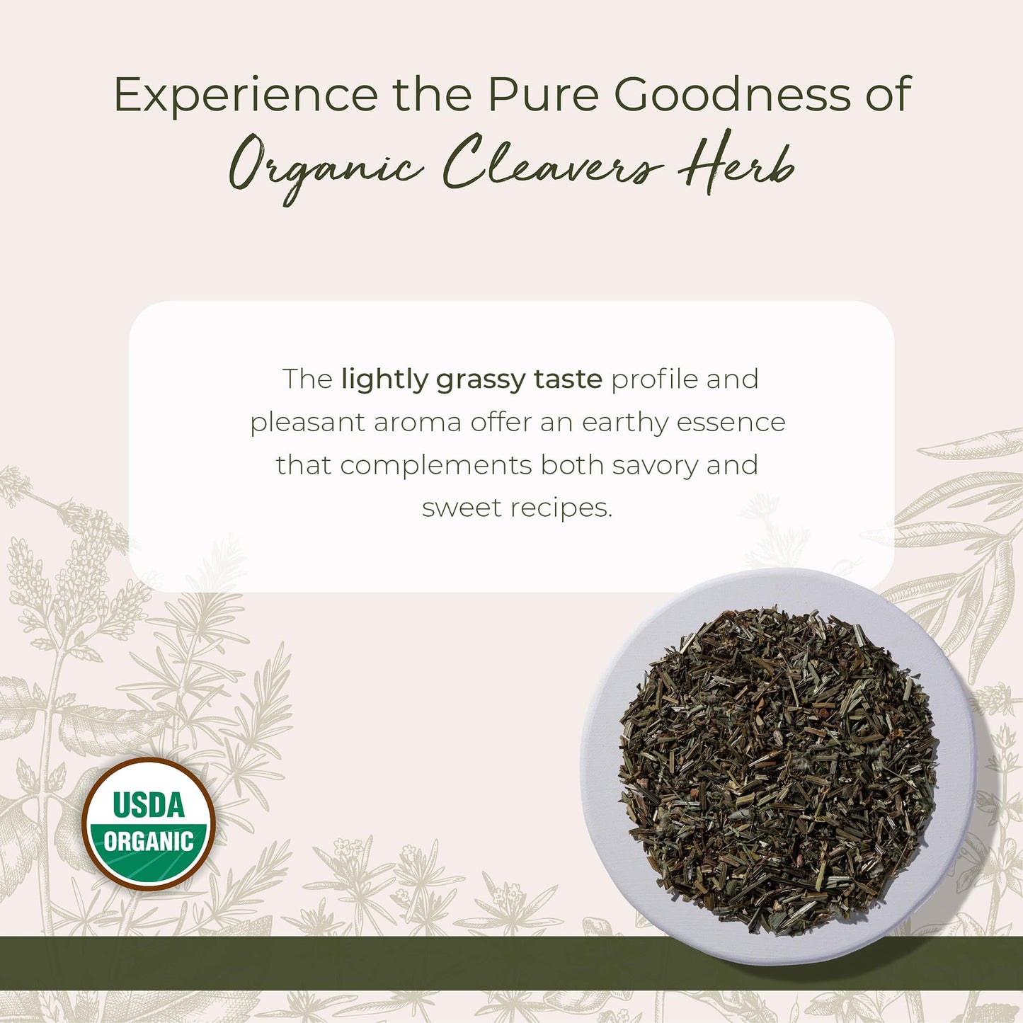 Cleavers Herb Organic - Dried Loose Leaf Herb for Tea, & Herbal Blends, Great For Lymphatic Drainage.