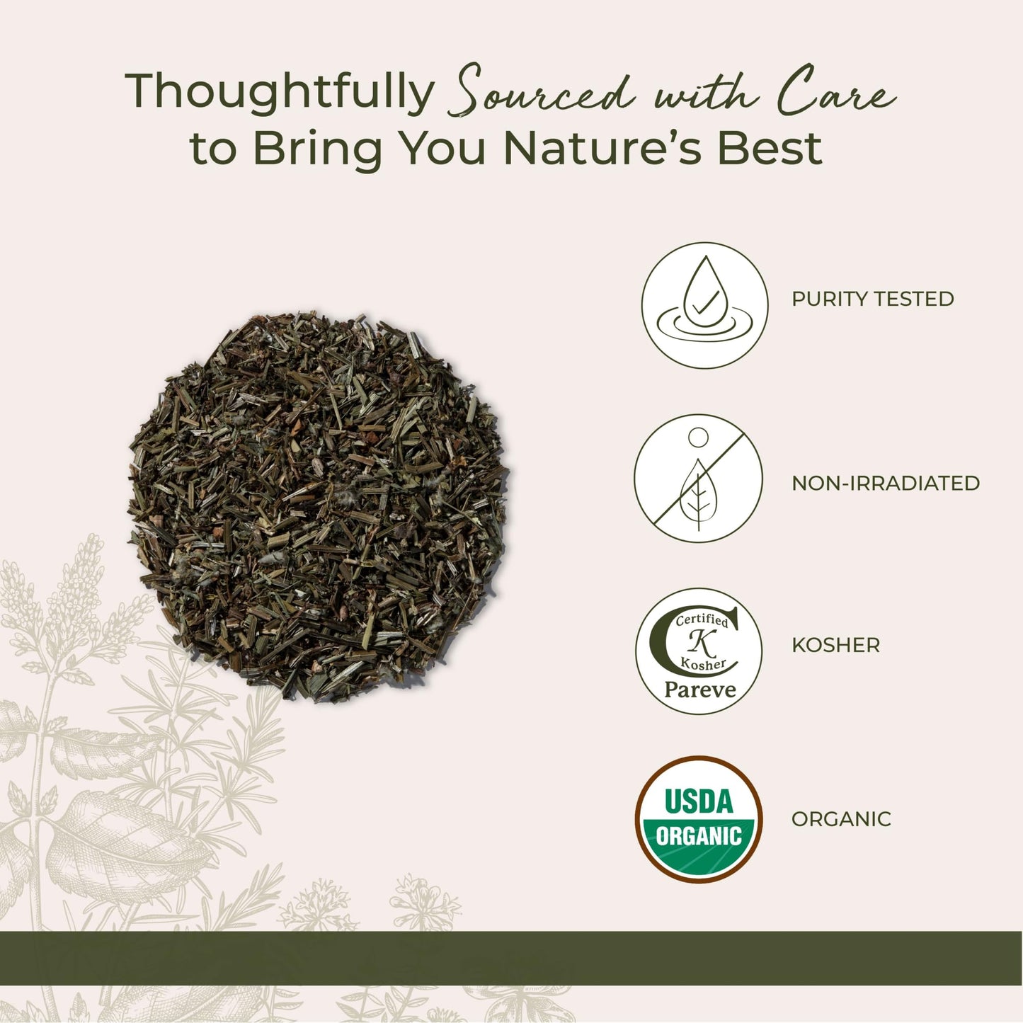 Cleavers Herb Organic - Dried Loose Leaf Herb for Tea, & Herbal Blends, Great For Lymphatic Drainage.