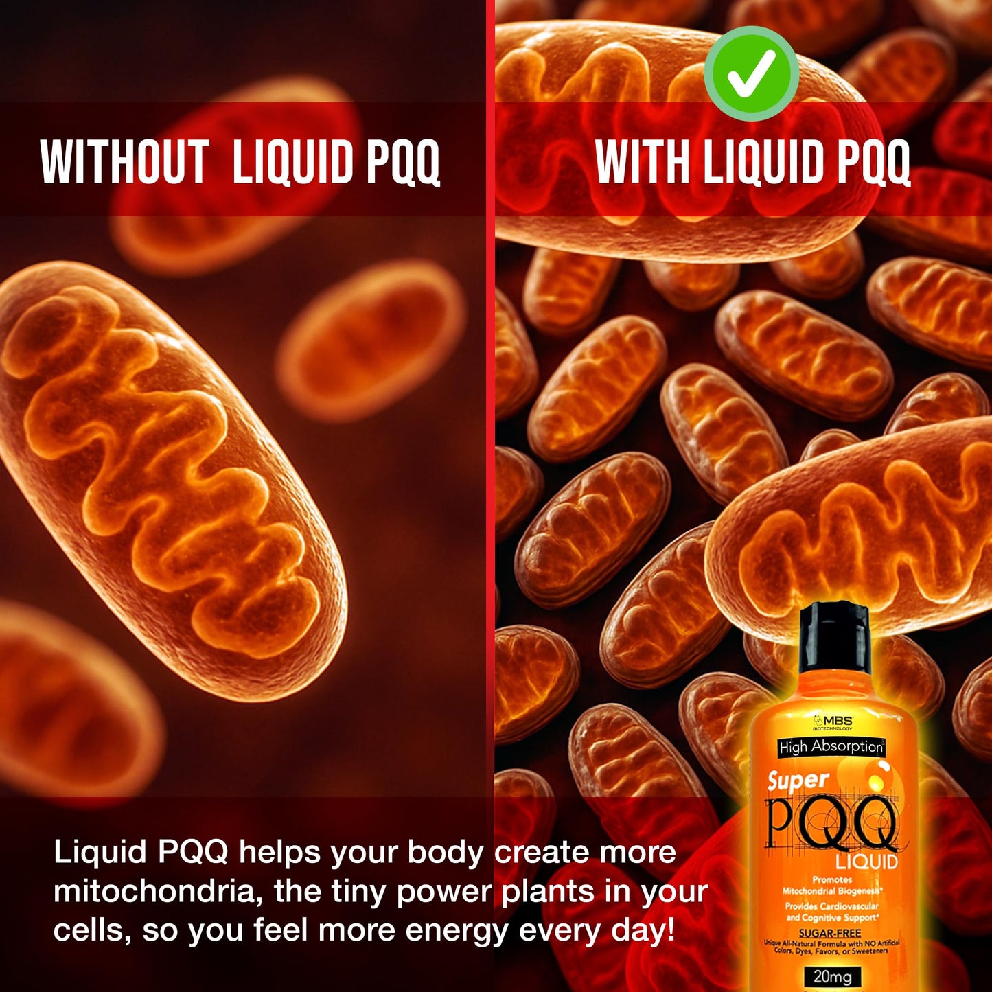 Cellular Biotechnology - Super PQQ Liquid - Highly Absorbable Pyrroloquinoline Quinone 20 Milligram, Best Liquid PQQ for Mitochondrial Biogenesis 🧬Supports Heart Health, Cognitive Function and Mental Focus 🧠