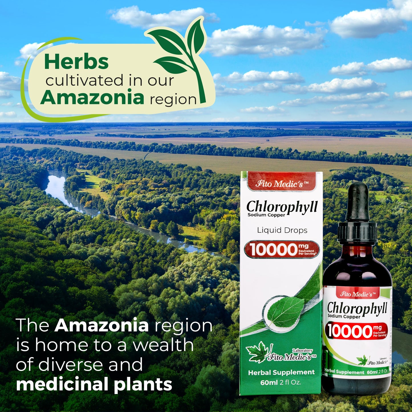 FITO MEDIC'S Lab | Liquid Chlorophyll Infused with Sodium Copper Removes Toxic Metals & Micro Plastics Vegan Detox Drops | 50 mg Extract per Serving.