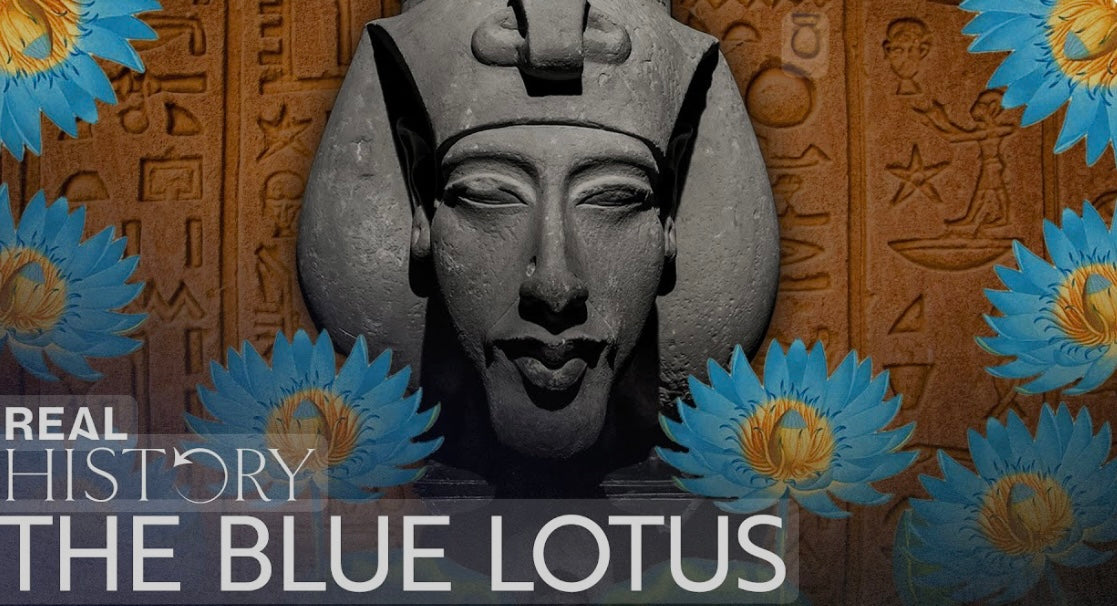 Egyptian Blue Lotus Flower Great for Lucid Dreaming 🛌 and Astral Projection. Smokable 💨 & Great For Brewing Tea 🍵