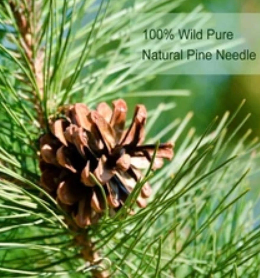 Loose White Pine Needle Tea, Great For Detoxing The Covid Vaccine wild-picked from northern white pines | Protects against infection, strengthens immunity, high in antioxidants, natural suramin Vitamin C