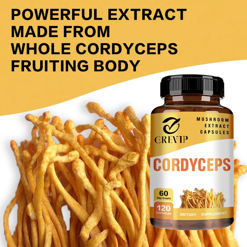 Cordyceps Supplement - Brain Health for Memory and Focus, Relief Stress, Better Mood - 120 Capsules