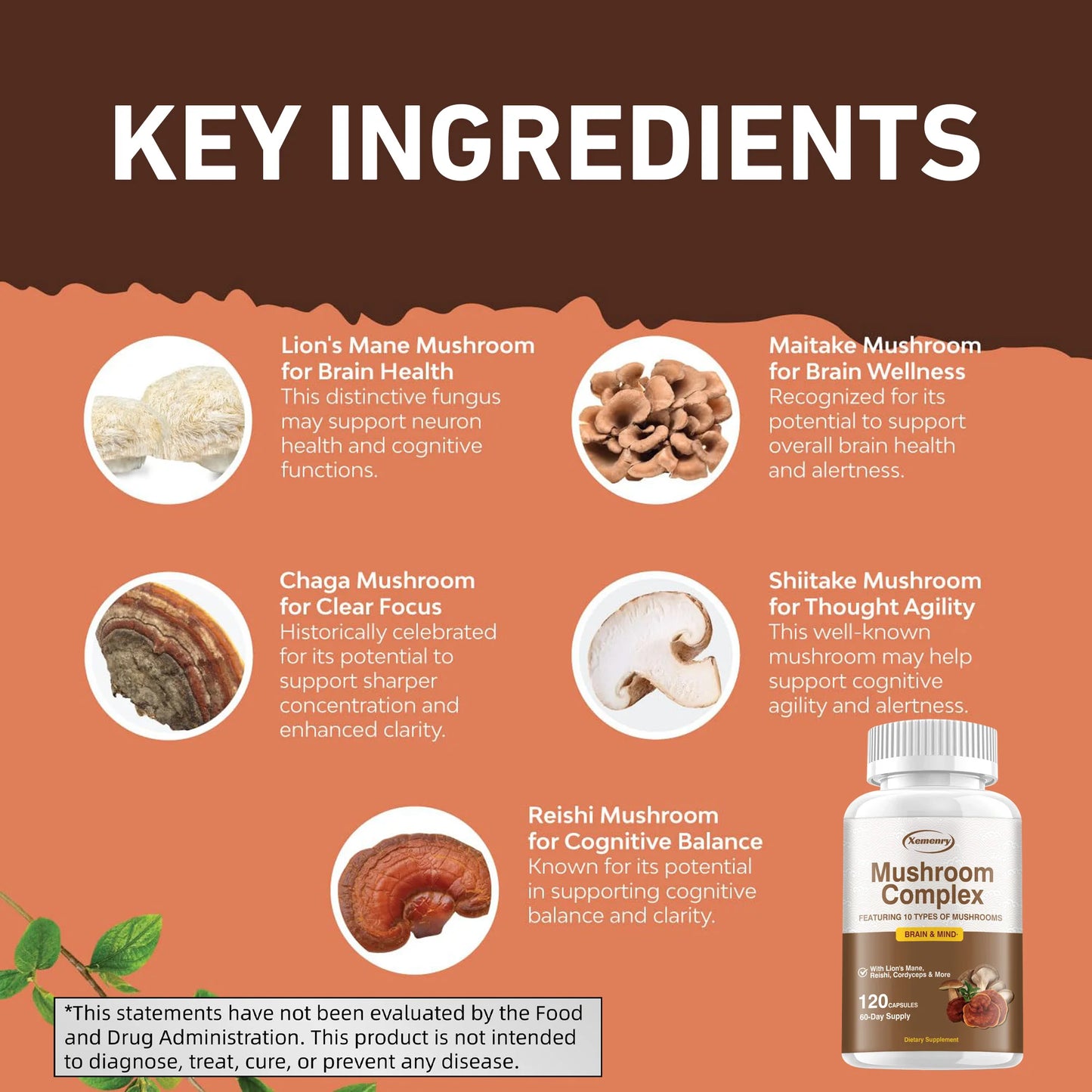 Mushroom Complex Capsules - Promote Brain Cognitive Function, Relieve Stress and Improve Sleep Quality - 120 Capsules