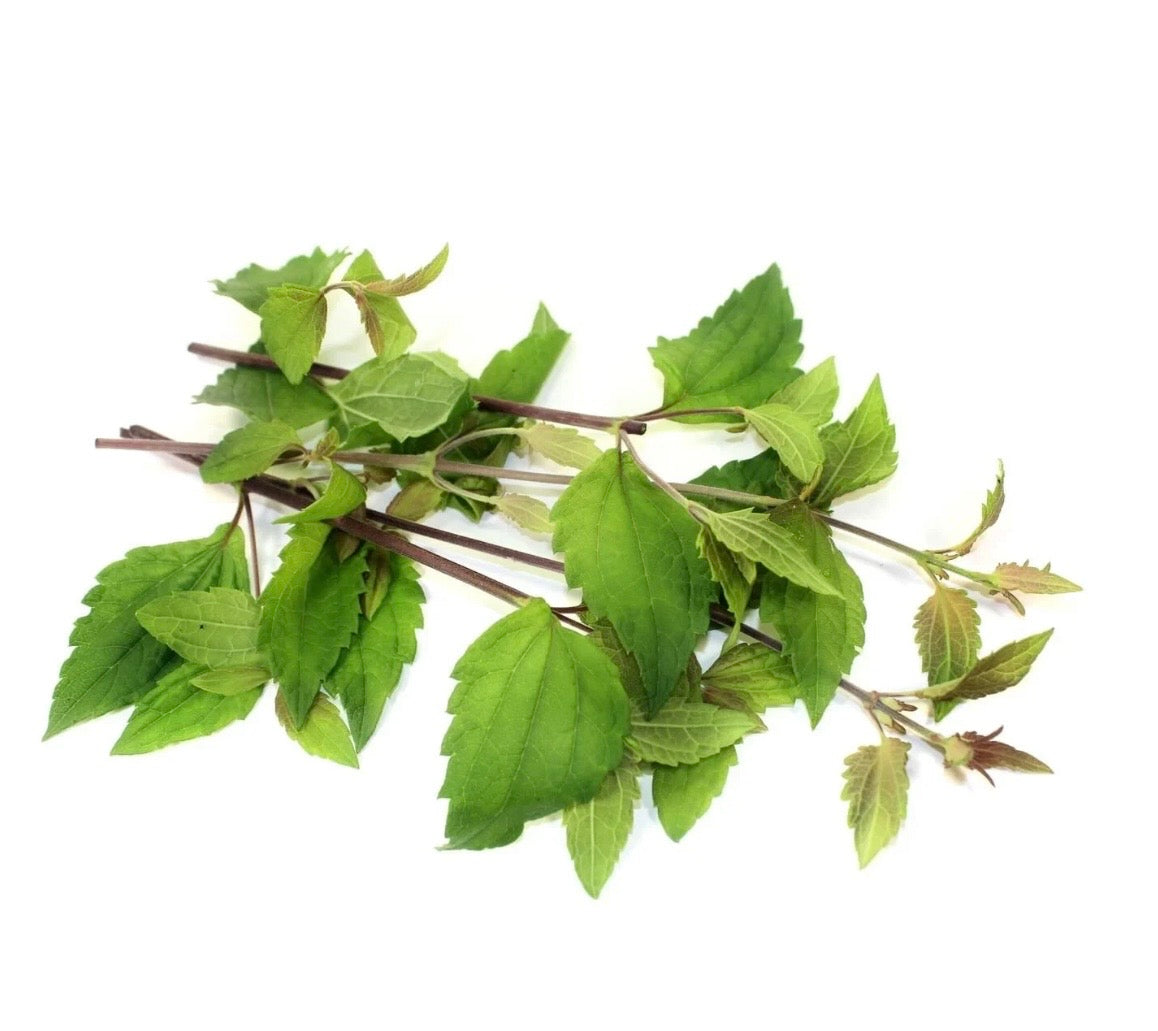 Mexican Dream Herb Tincture (Calea Zacatechichi) For Lucid Dreaming 🛌 & Astral Travel Very High Quality. Only ships to U.S Doesn’t ship to NY or Louisiana