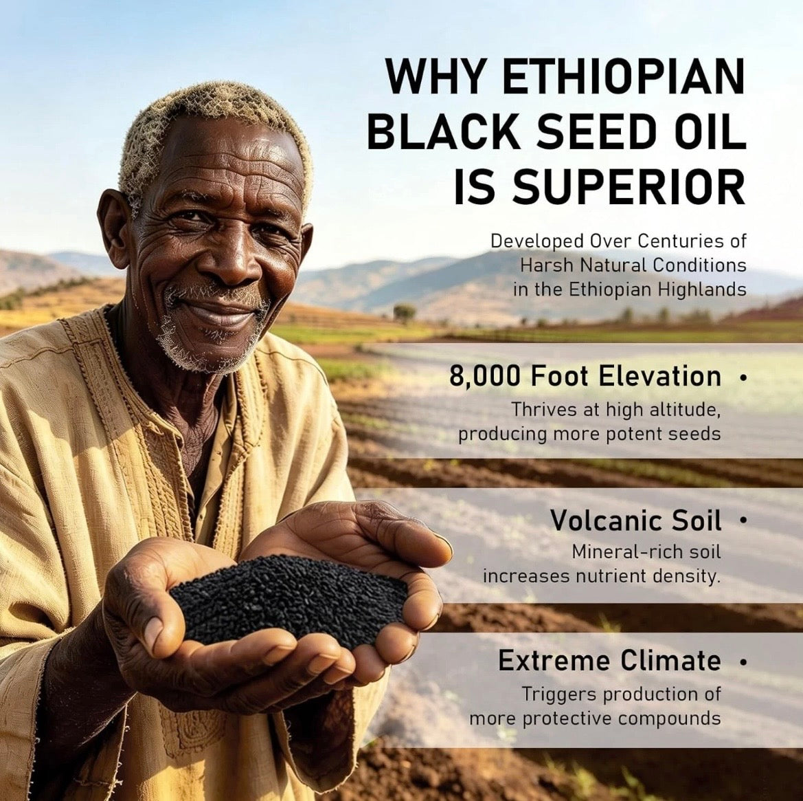 Ethiopian Black Seed Oil Capsules 4.64% Thymoquinone Purely Nutrient Fights Cell Damage, Reduces Inflammation, Fights Cancer Cells, Supports Immune Health.