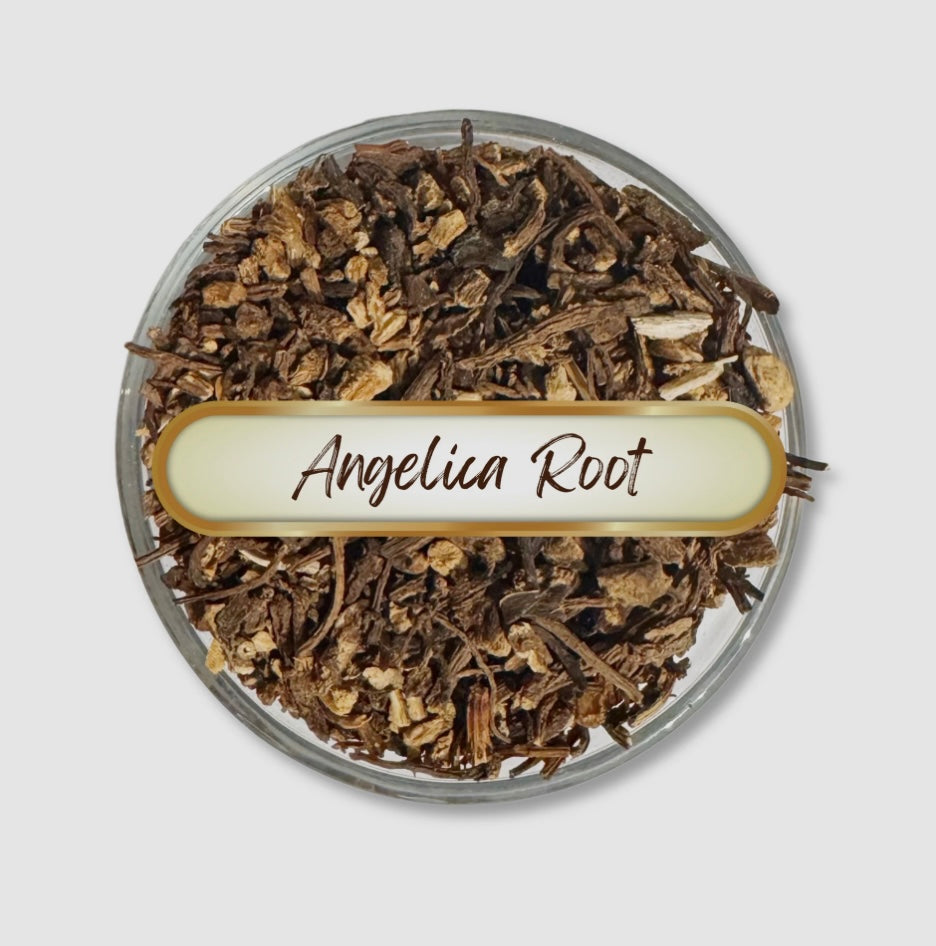 Angelica Root Divine Feminine Herb Great For Relieving Stomach Cramps, Bloating & Gas, During Menstrual Periods, Female Ginseng