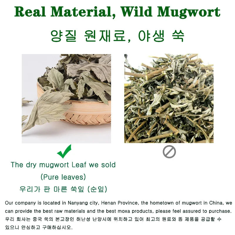 500g Wild Mugwort Leaves For Lucid Dreaming & Astral Projection.