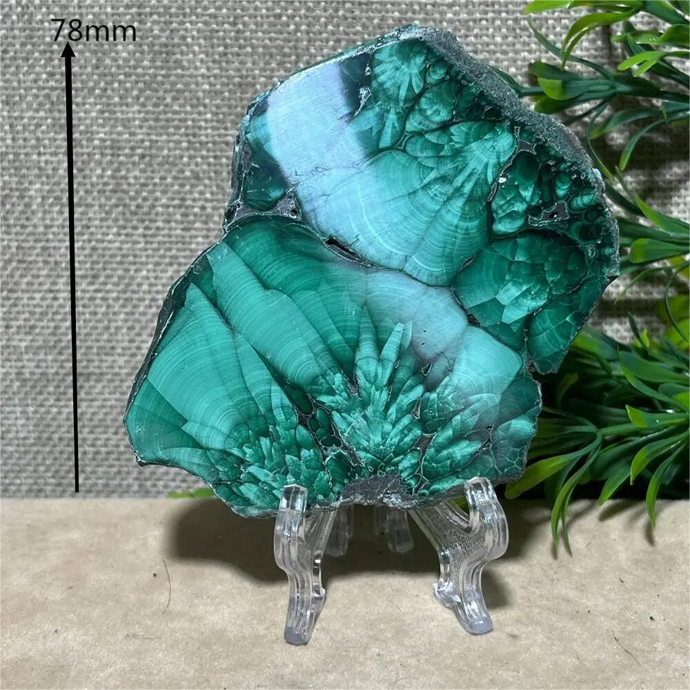 Natural Green Malachite Slab Slice  Stone Reiki Flower Beauty Minerals Healing Spiritual Stripe Home Decoration Quartz