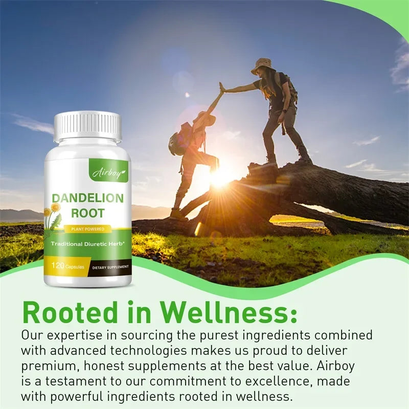 Dandelion Root Capsules - Prostate Health Support, Liver Protection, Relieving Frequent Urination, Improving Immunity