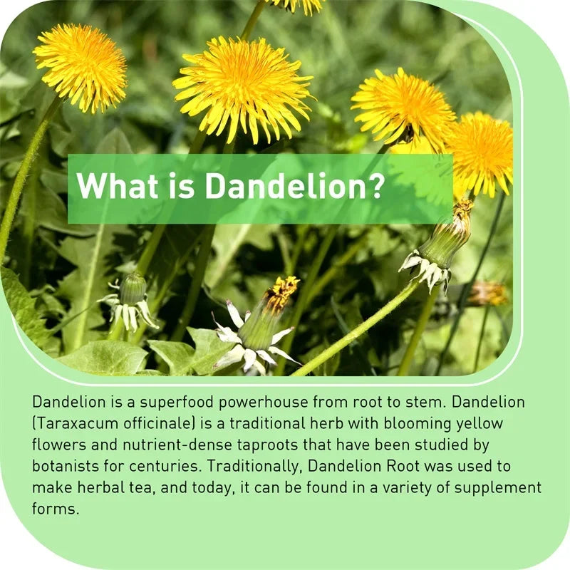 Dandelion Root Capsules - Prostate Health Support, Liver Protection, Relieving Frequent Urination, Improving Immunity